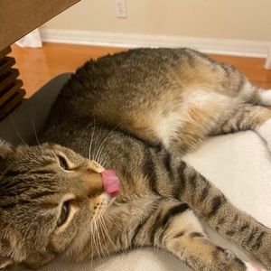 Meet your Posher, Aleeza